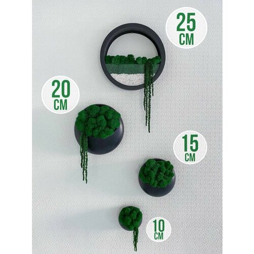 Набор настенных кашпо со мхом и амарантом 4215₽