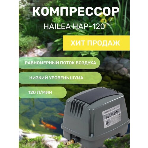 Компрессор HAILEA HAP-120 29441₽