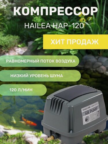 Изображение товара Компрессор HAILEA HAP-120
