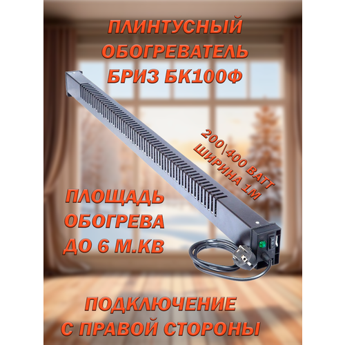 Плинтусный обогреватель Бриз Фиксированный БК100Ф Чёрный Правый ширина 1 м 3440₽