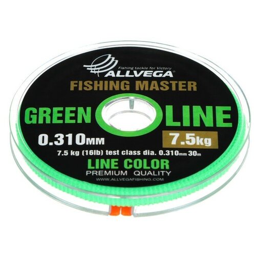 Леска монофильная ALLVEGA Fishing Master, диаметр 0.310 мм, тест 7.5 кг, 30 м, зеленая