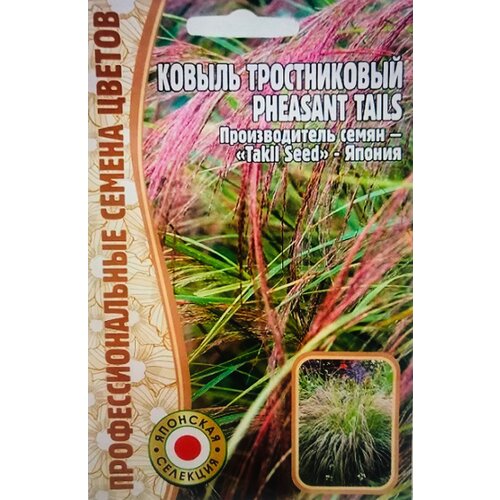 farm tails Семена Ковыля тростникового (Pheasant tails) (10 семян)