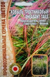 Семена Ковыля тростникового (Pheasant tails) (10 семян)