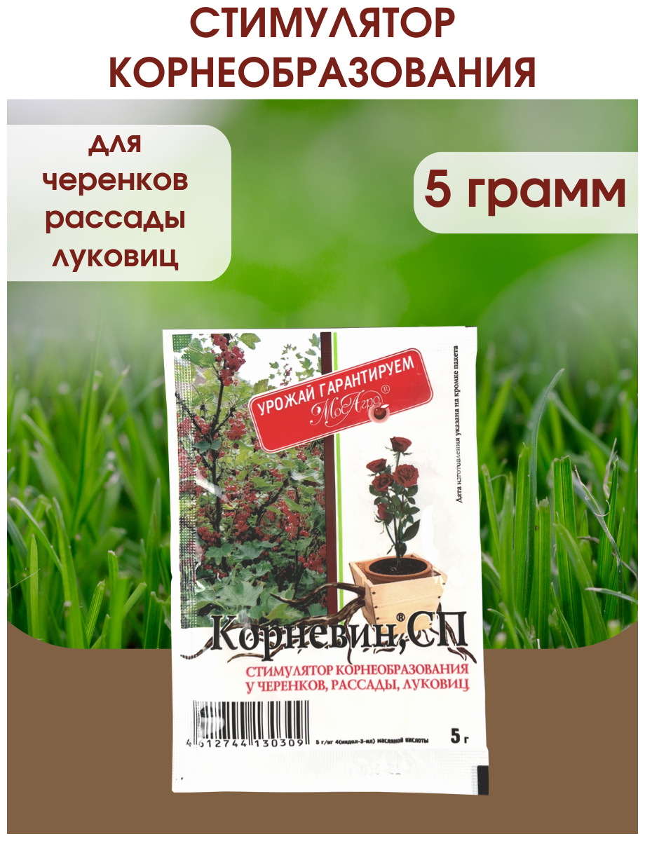 Корневин Стимулятор образования и роста корней, Упаковка 5 гр. - фотография № 1