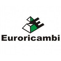 EURORICAMBI 30170487 Ремкомплект дифференциала