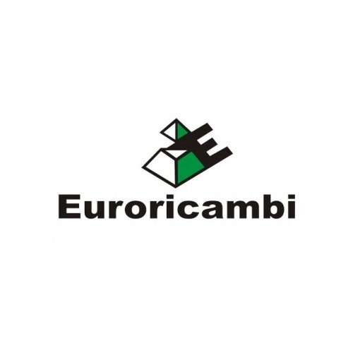 EURORICAMBI 98530343 подшипник КПП игольчатый 93X101X25 2X