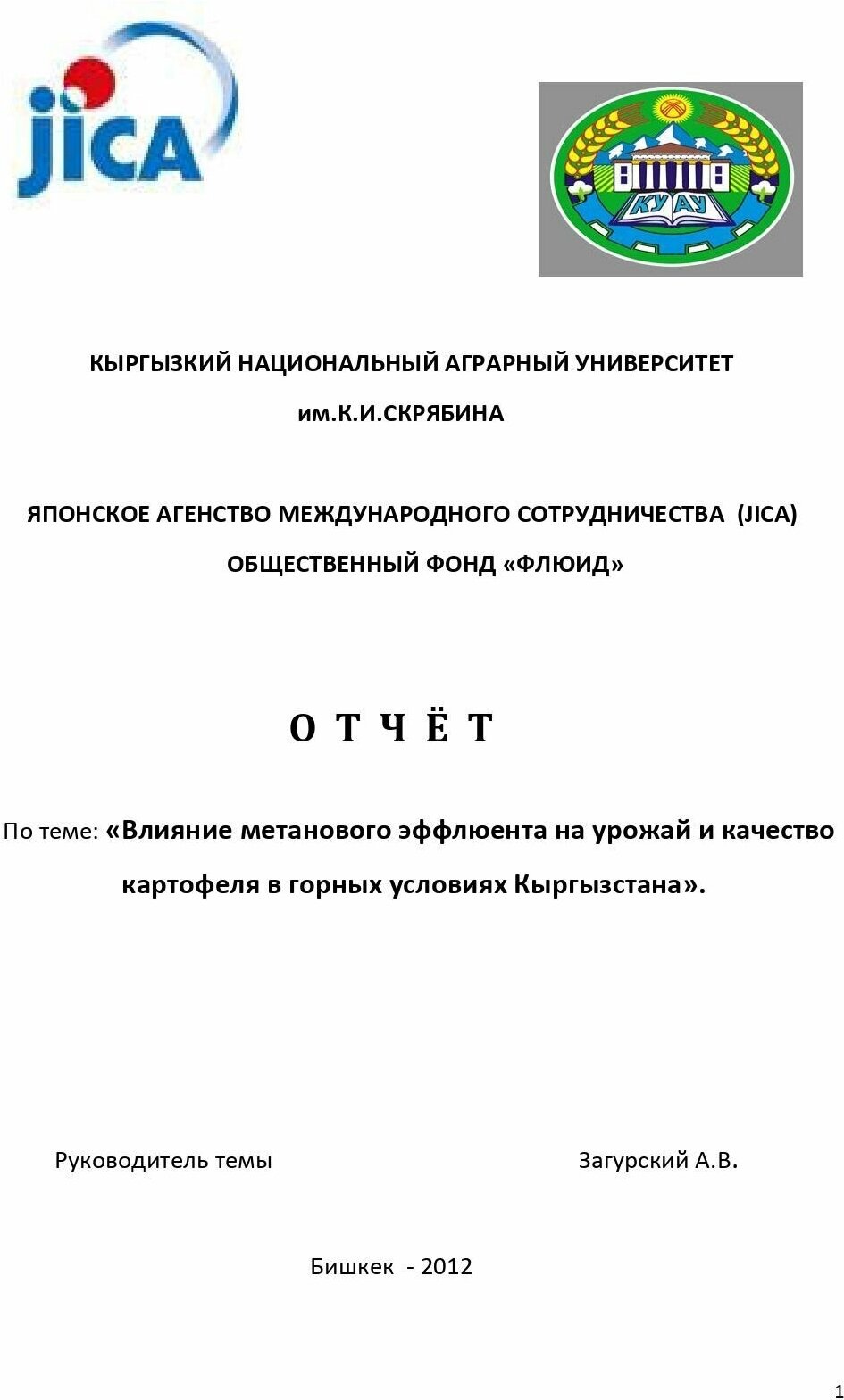 Универсальное органическое удобрение эффлюент БТК (жидкое) 1 литр - фотография № 4