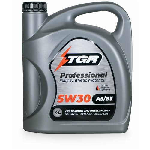 TGR TGR5304 Масло моторное TGR Professional 5W30 SN/CF A5/B5/C2 (4) TGR5304