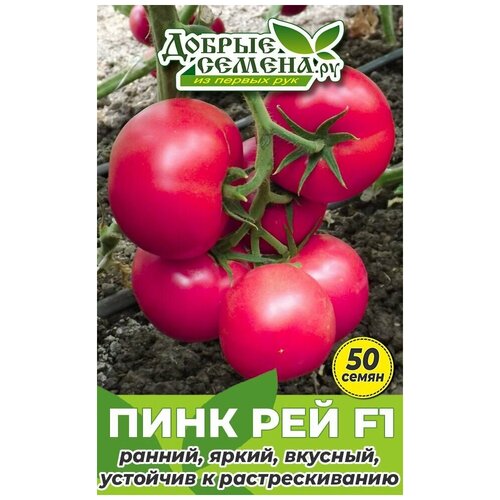 Семена томата Пинк Рей F1 - 50 шт - Добрые Семена. ру