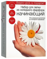 Полимерная глина Fleur Набор Начинающий (09-0001)