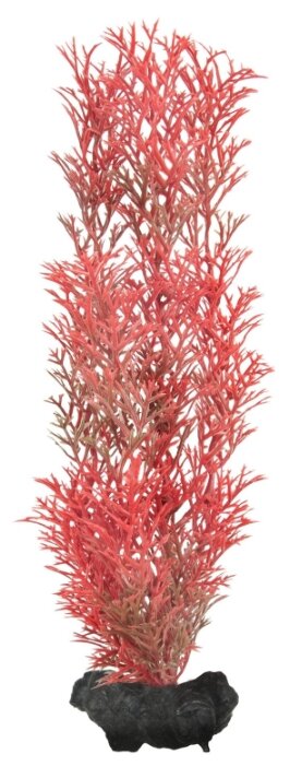 Искусственное растение Tetra Red Foxtail M