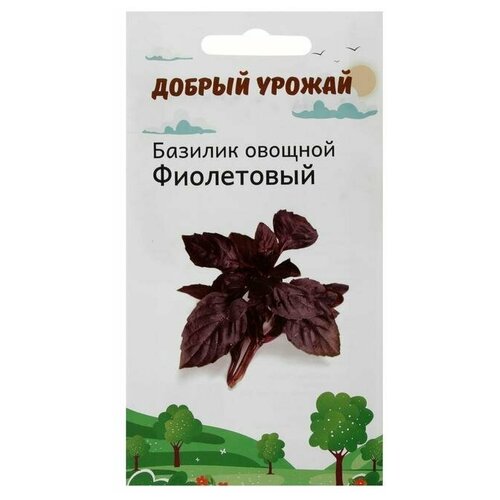 Семена Базилик, фиолетовый 0,2 г в комлпекте 10, упаковок(-ка/ки) семена базилик фиолетовый 0 3 г в комлпекте 3 упаковок ка ки