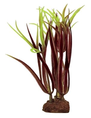ArtUniq Lagarosiphon madagascariensis red Set 6x10 - Набор искусственных растений Лагаросифон мадагаскарский красный, 10 см, 6 шт