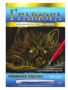 Гравюра А4 в конверте. Золото. Пушистая собачка Г-9367 /Рыжий кот/