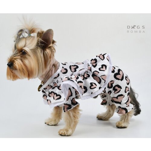 Костюм с рюшей сердечки (24см )