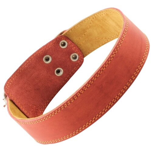 фото Ошейник гамма двойной 11232054