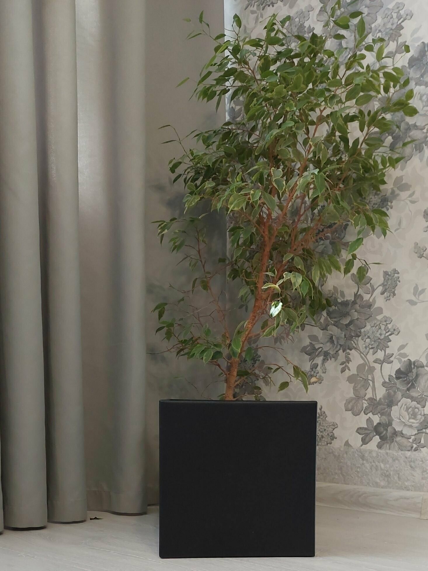 фото Кашпо напольное