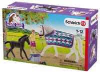 Игровой набор Schleich Уход за Липпицианской лошадью и жеребенком 72130