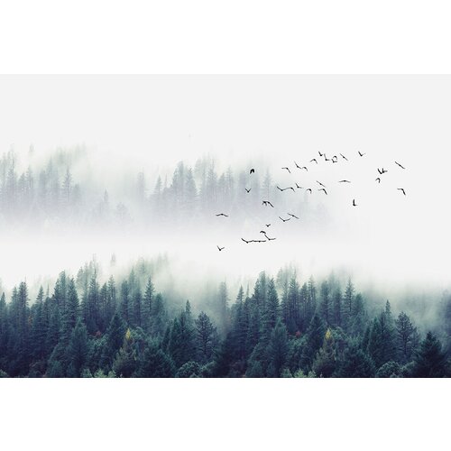 Фотообои виниловые тисненые на флизелиновой основе И 1259 Птицы над туманным лесом 400х270см