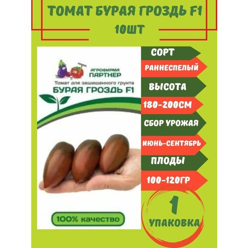 Томат Бурая Гроздь F1, 10 семян 1 упаковка