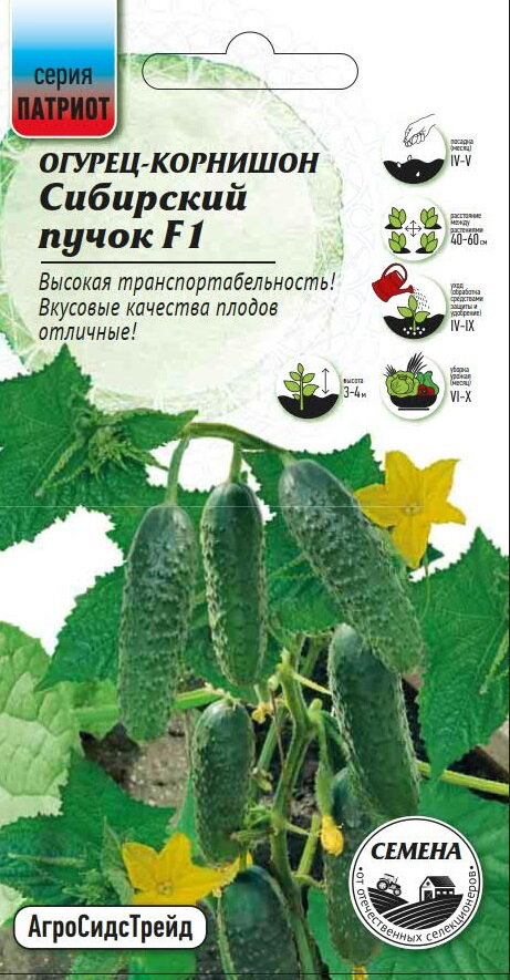Семена овощей огурец Сибирский пучок F1 8 шт.