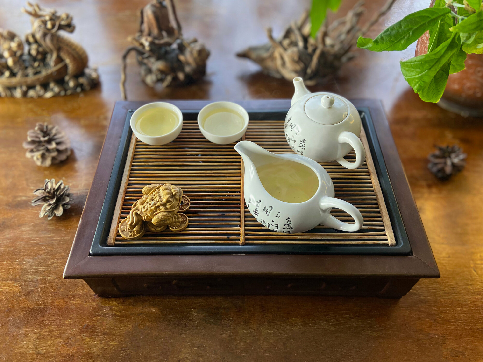 Китайский элитный чай Те Гуань Инь категория А1 50 гр