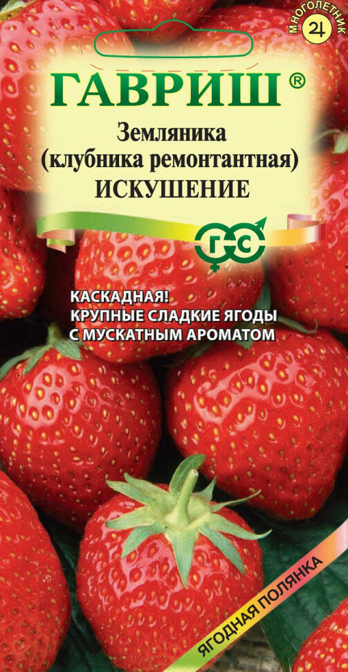 Семена Земляника (Клубника) Искушение, каскадная, ремонтантная , 10шт, Гавриш, Ягодная полянка