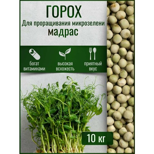 Семена гороха Мадрас для проращивания микрозелени Ясени зеленый 10кг