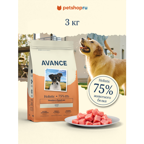 AVANCE holistic полнорационный сухой корм для щенков с индейкой и бурым рисом 3 кг 1751₽