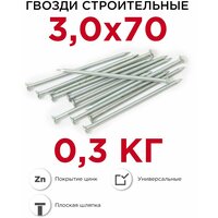 Гвозди строительные Профикреп оцинкованные 3 х 70 мм, 0,3 кг