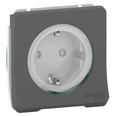 Розетка Schneider Electric MUR36134 Mureva Styl 16 А с защитной шторкой с заземлением