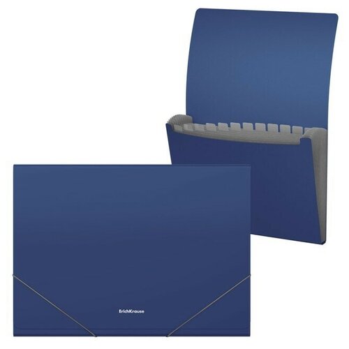Папка-картотека на резинке A4, 12 отделов, Matt Classic, синяя папка на резинках пластиковая matt classic a4 ассорти