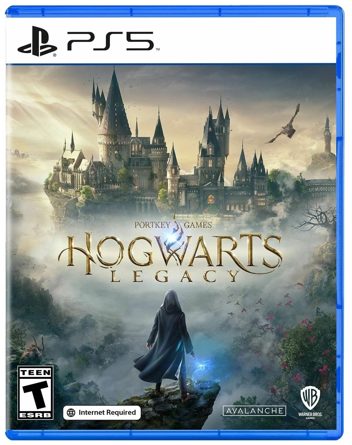 Видеоигра Hogwarts Legacy PS5