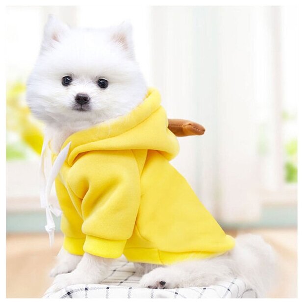 Кофта-толстовка для собаки «Wonderful style-Банан» с капюшоном, размер M (44*30*26см) Ultramarine - фотография № 6