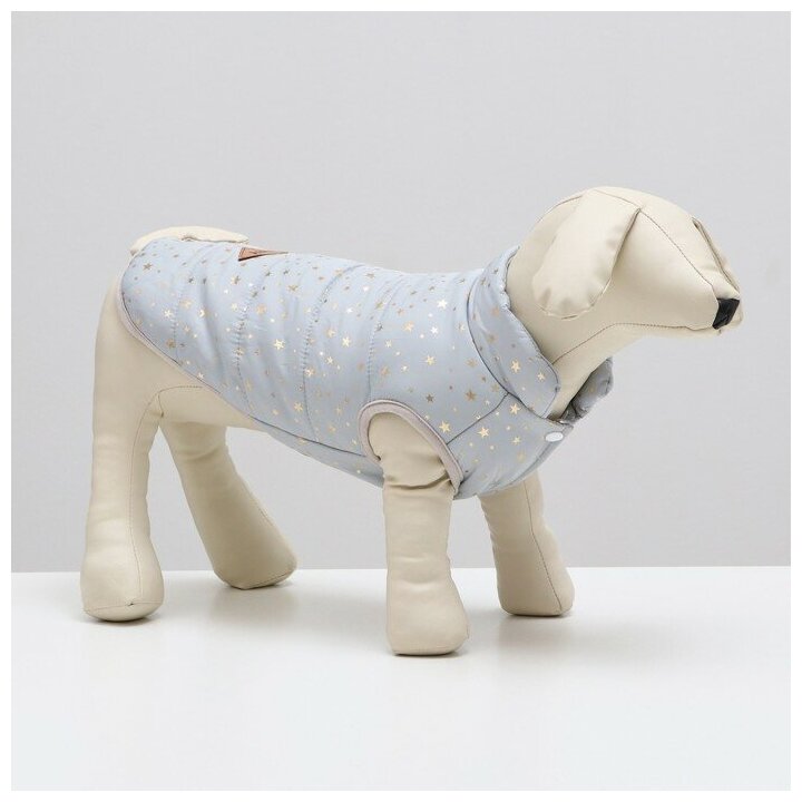 Куртка для собак "Звездный путь", размер XL, серая (ДС 40, ОШ 34, ОГ 50 см)