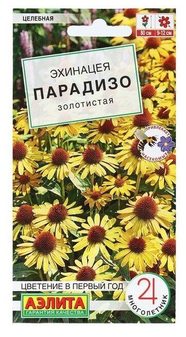 Семена Цветов Эхинацея "Парадизо золотистая", 5 шт 9359864