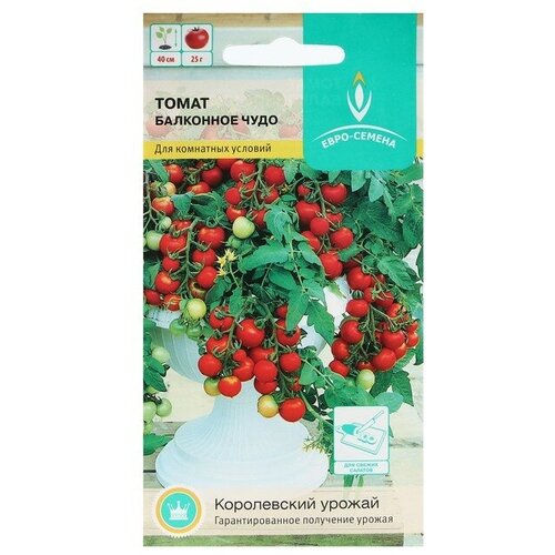Семена Томат Балконное чудо ультраскороспелый, низкорослый, 15 шт(2 шт.) семена томат балконное чудо ультраскороспелый 0 1 г