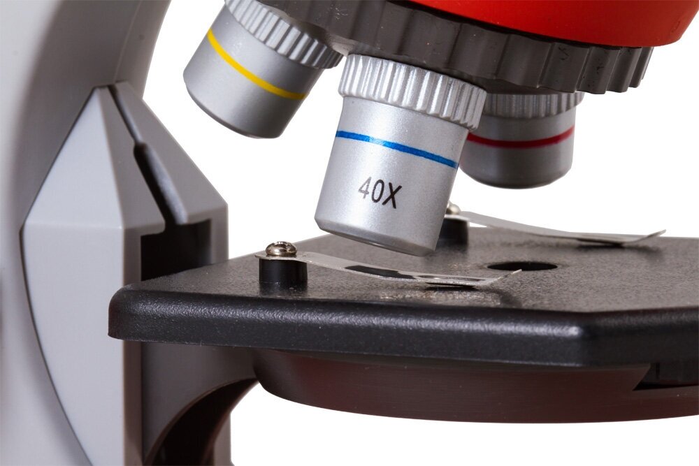 Микроскоп Bresser Junior 40x-640x - фото №8