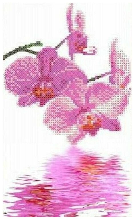Рисунок на ткани Каролинка "Орхидеи", 17x27 см