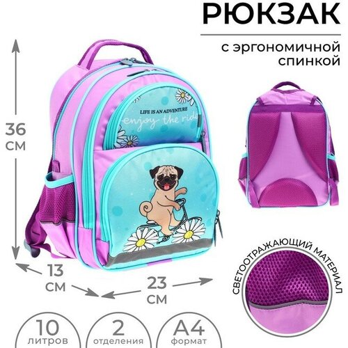 фото Рюкзак calligrata, текстиль, мультиколор