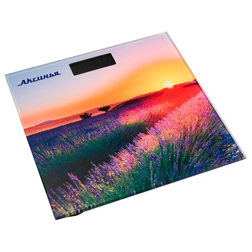 фото Весы электронные аксинья кс-6005