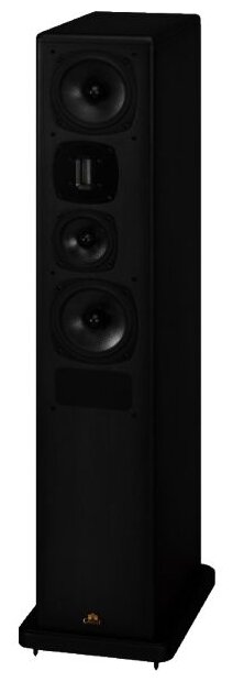 Castle Acoustics Avon 4 Black Oak