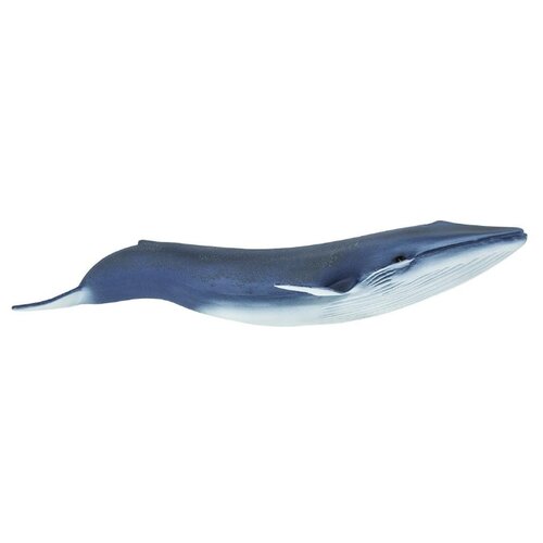 фото Фигурка safari ltd синий кит 223229