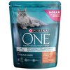 Сухой корм для кошек Purina ONE профилактика зубного камня, профилактика МКБ, с курицей, с цельными злаками 750 г - изображение