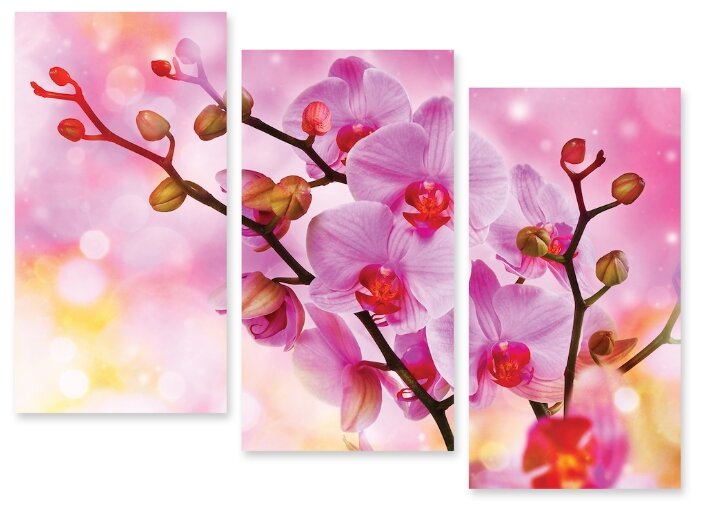 Модульная картина на холсте "Сказочные орхидеи" 170x127 см