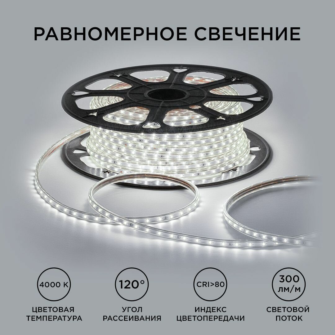 Светодиодная влагозащищенная лента OGM 5W/m 60LED/m 2835SMD дневной белый 50M - фото №2