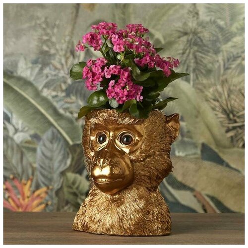 Кашпо Flower Pot Golden Ape