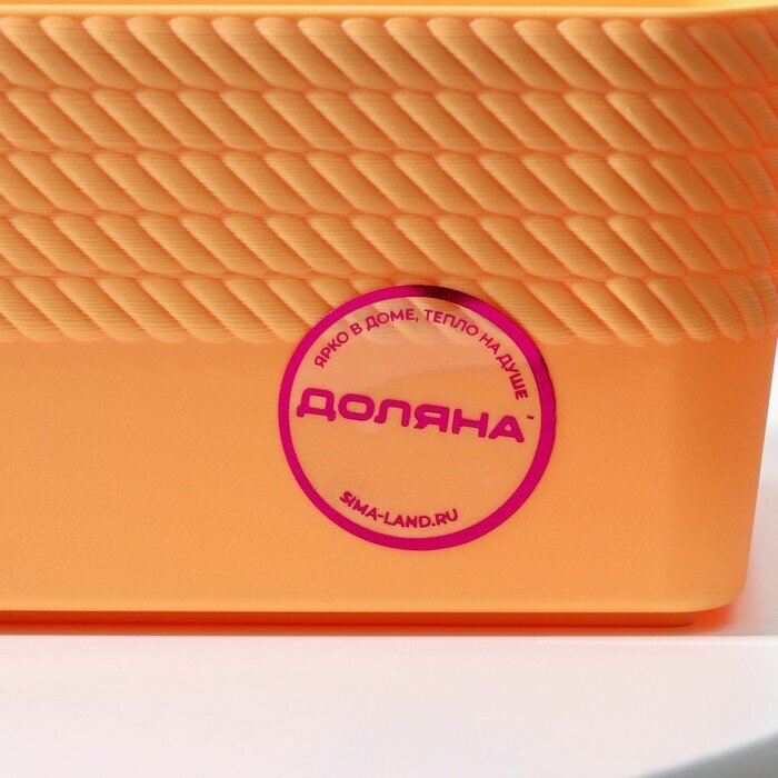 Корзинка пластиковая для хранения Доляна «Кайма», 19,8×11×7 см, цвет микс