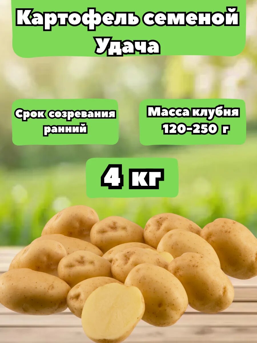 Картофель Удача 4 кг