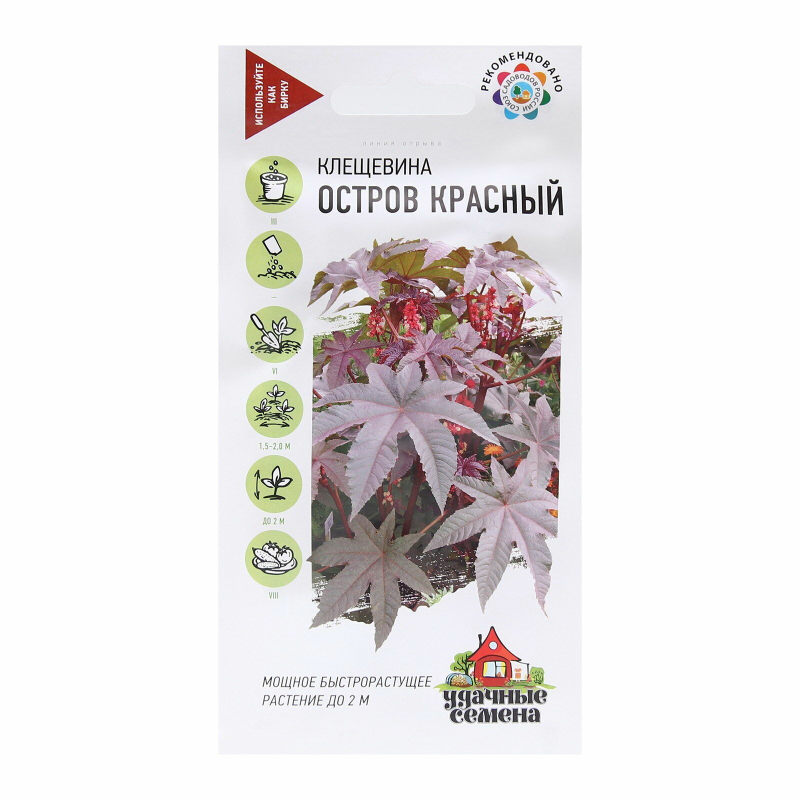 Семена цветов Клещевина 